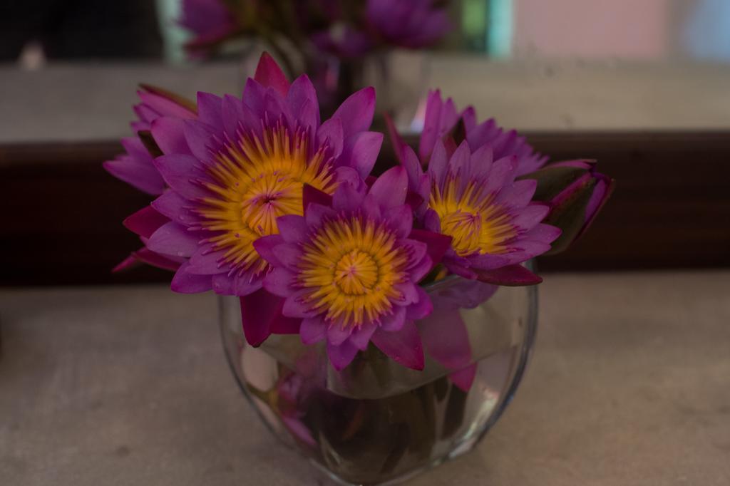 Sinharaja Hostel Deniyaya Pokoj fotografie